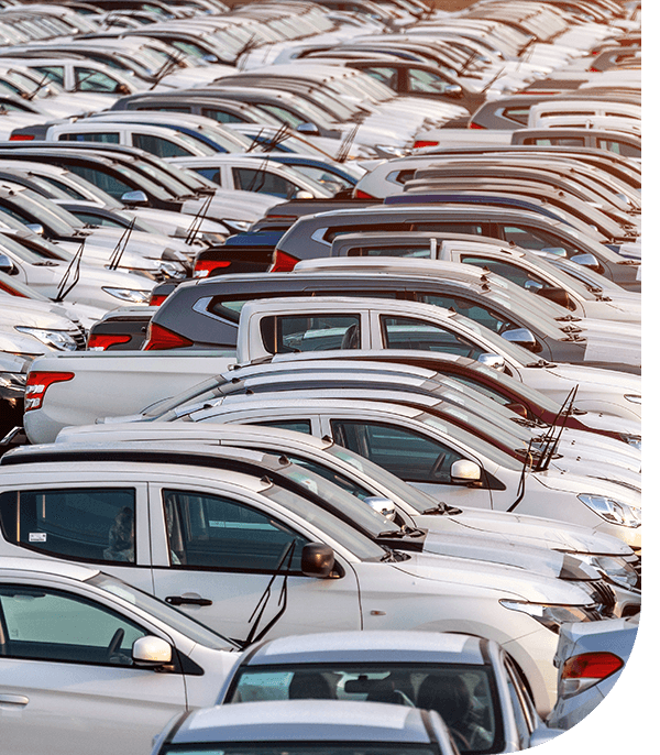A vast parking lot filled with numerous white cars, showcasing various makes and models, lined up in neat rows under soft sunlight.