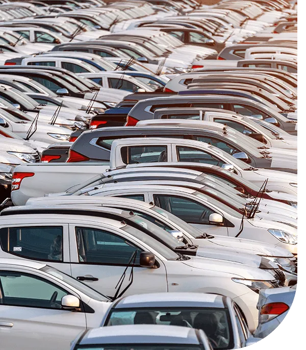 Auction Towing 1 A vast parking lot filled with numerous white cars, showcasing various makes and models, lined up in neat rows under soft sunlight.